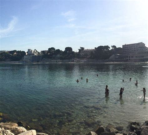 ILE DE BENDOR (Bandol): Ce qu'il faut savoir pour votre.